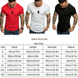 Hot Sale Men T-shirt